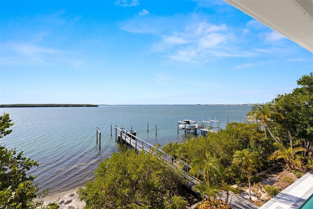 exterior space featuring a dock