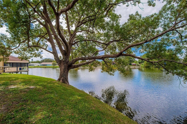 view of water feature