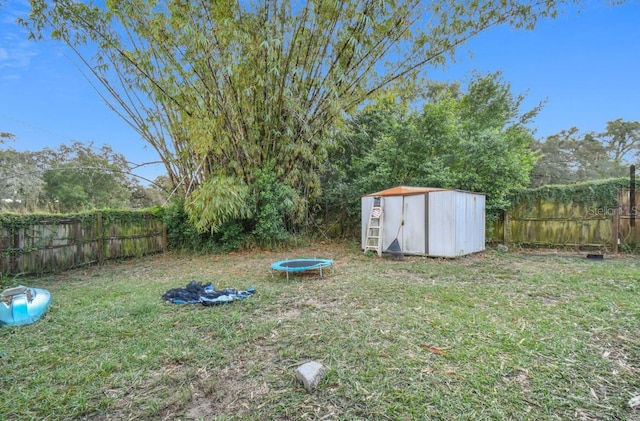 view of yard with a trampoline and a storage shed