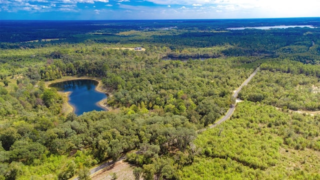 New Jerusalem Rd, Vernon, FL 32462