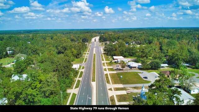 New Jerusalem Rd, Vernon, FL 32462