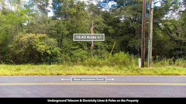 New Jerusalem Rd, Vernon, FL 32462