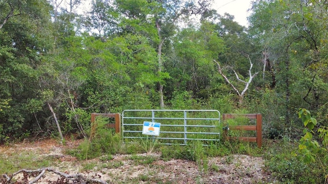New Jerusalem Rd, Vernon, FL 32462