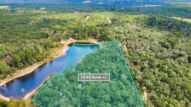 New Jerusalem Rd, Vernon, FL 32462