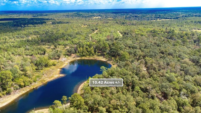 New Jerusalem Rd, Vernon, FL 32462