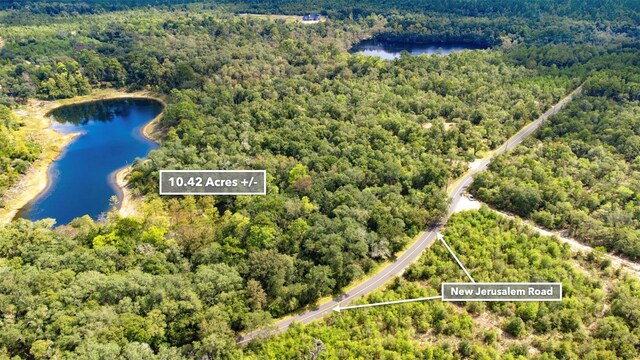 New Jerusalem Rd, Vernon, FL 32462