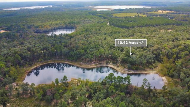 New Jerusalem Rd, Vernon, FL 32462