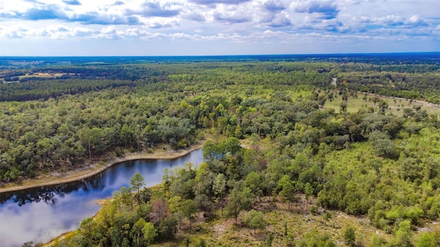 New Jerusalem Rd, Vernon, FL 32462