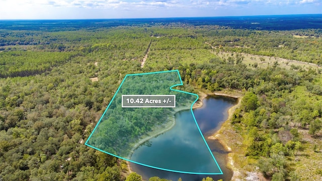 New Jerusalem Rd, Vernon, FL 32462