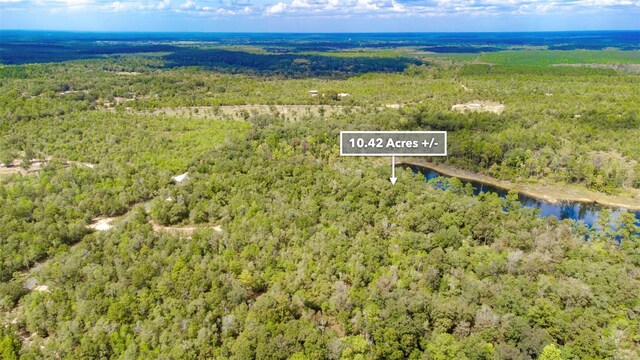 New Jerusalem Rd, Vernon, FL 32462