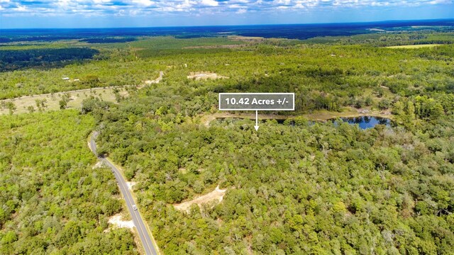 New Jerusalem Rd, Vernon, FL 32462