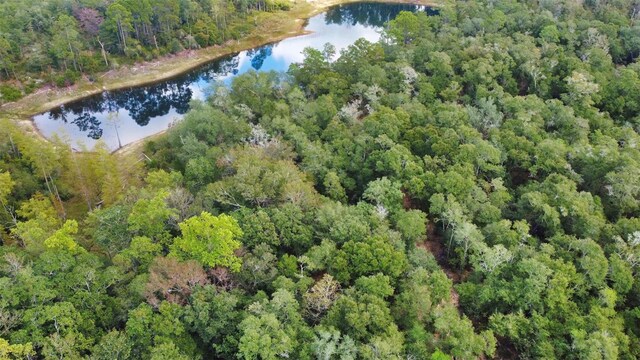 New Jerusalem Rd, Vernon, FL 32462