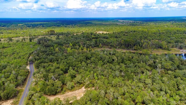 New Jerusalem Rd, Vernon, FL 32462