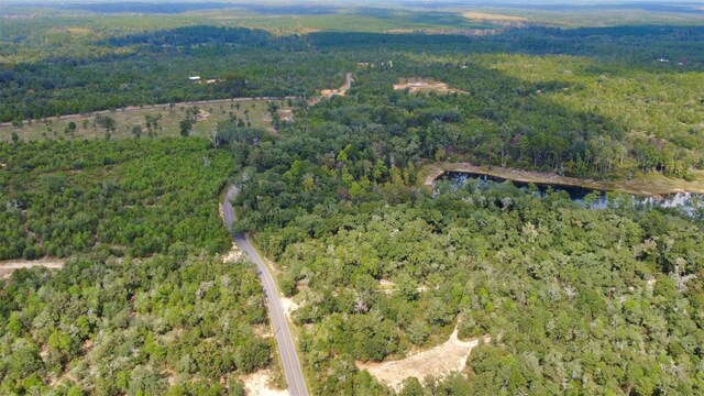 New Jerusalem Rd, Vernon, FL 32462