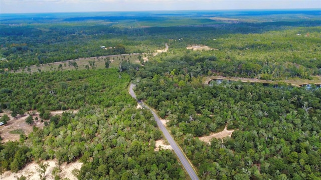New Jerusalem Rd, Vernon, FL 32462