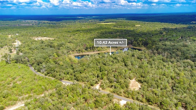 New Jerusalem Rd, Vernon, FL 32462