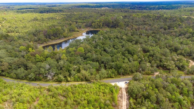 New Jerusalem Rd, Vernon, FL 32462