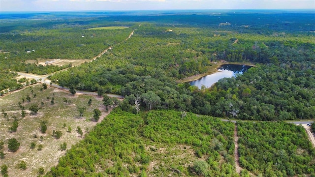 New Jerusalem Rd, Vernon, FL 32462