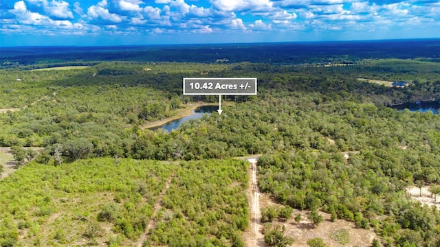 New Jerusalem Rd, Vernon, FL 32462