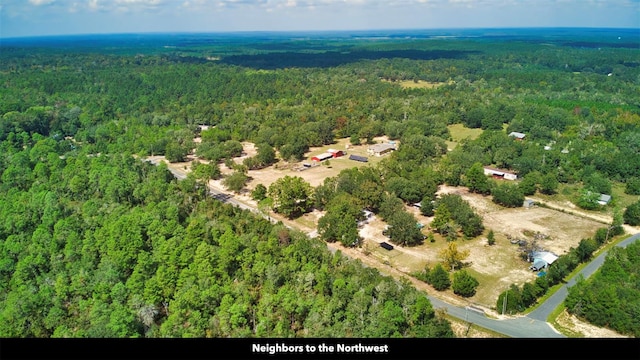 New Jerusalem Rd, Vernon, FL 32462