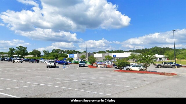 New Jerusalem Rd, Vernon, FL 32462
