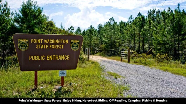 New Jerusalem Rd, Vernon, FL 32462
