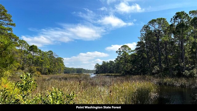New Jerusalem Rd, Vernon, FL 32462