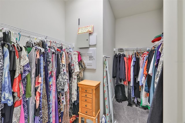 spacious closet featuring carpet floors