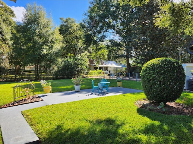 view of yard featuring a patio