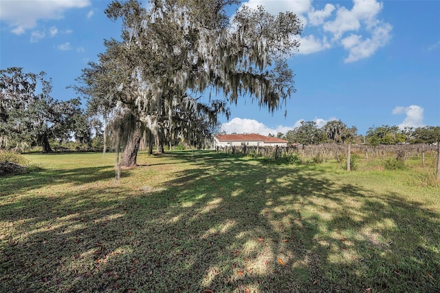 331 Lewis Rd, Lithia, FL 33547 - photo 50