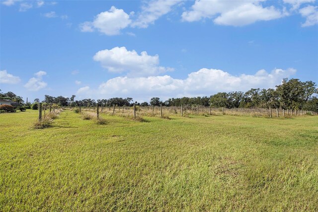 331 Lewis Rd, Lithia, FL 33547 - photo 52
