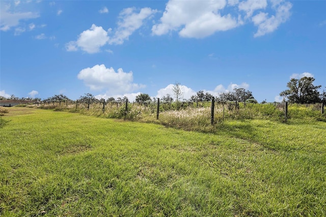 view of yard with a rural view