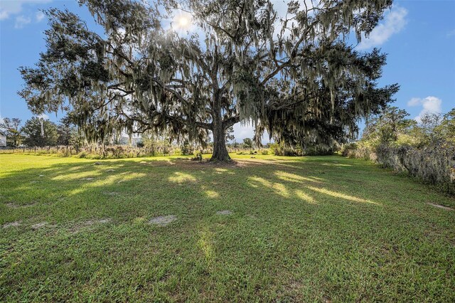 331 Lewis Rd, Lithia, FL 33547 - photo 58