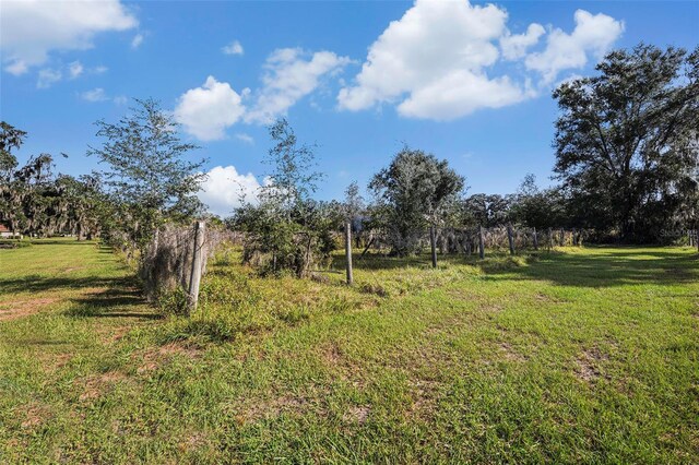 331 Lewis Rd, Lithia, FL 33547 - photo 59