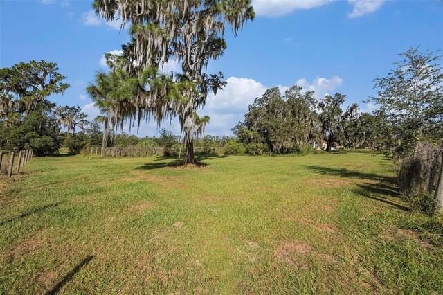 331 Lewis Rd, Lithia, FL 33547 - photo 60