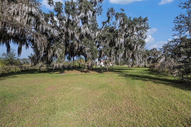 331 Lewis Rd, Lithia, FL 33547 - photo 61