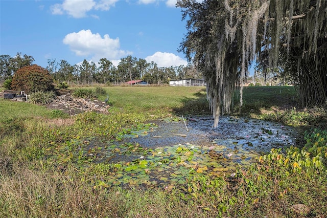 331 Lewis Rd, Lithia, FL 33547 - photo 62