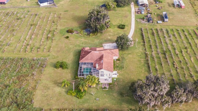 331 Lewis Rd, Lithia, FL 33547 - photo 65