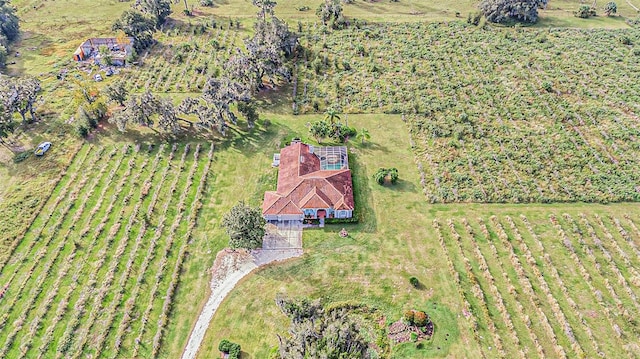 aerial view with a rural view