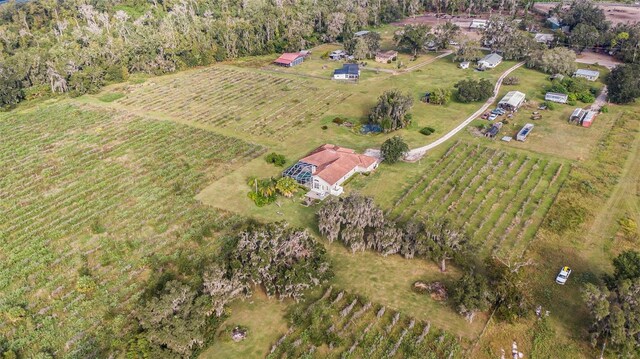 331 Lewis Rd, Lithia, FL 33547 - photo 69