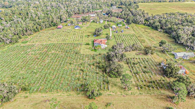 drone / aerial view featuring a rural view