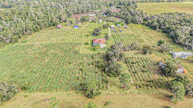 331 Lewis Rd, Lithia, FL 33547 - photo 73