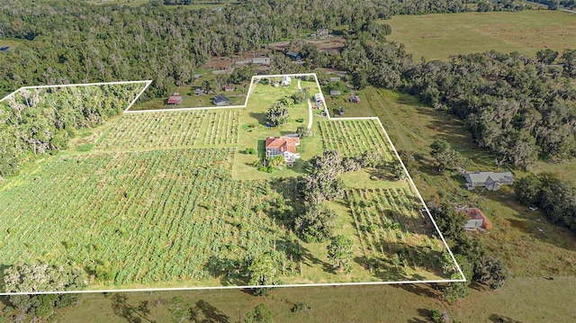 aerial view with a rural view