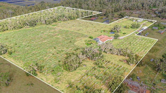 331 Lewis Rd, Lithia, FL 33547 - photo 77