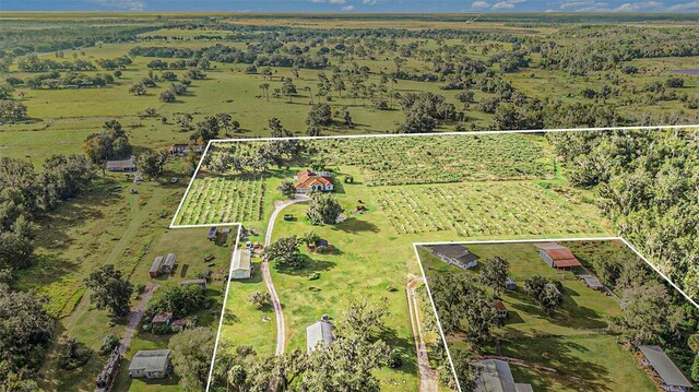 331 Lewis Rd, Lithia, FL 33547 - photo 78