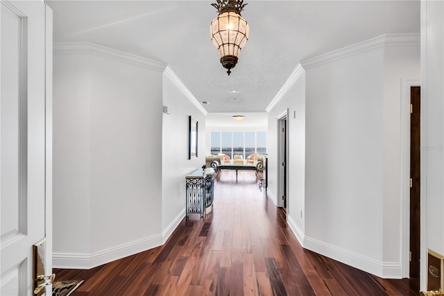 hall with ornamental molding and dark wood-type flooring