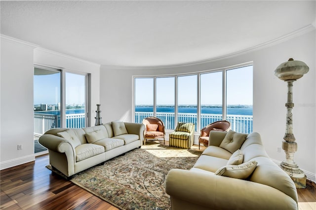 living room featuring plenty of natural light, a water view, and dark hardwood / wood-style floors