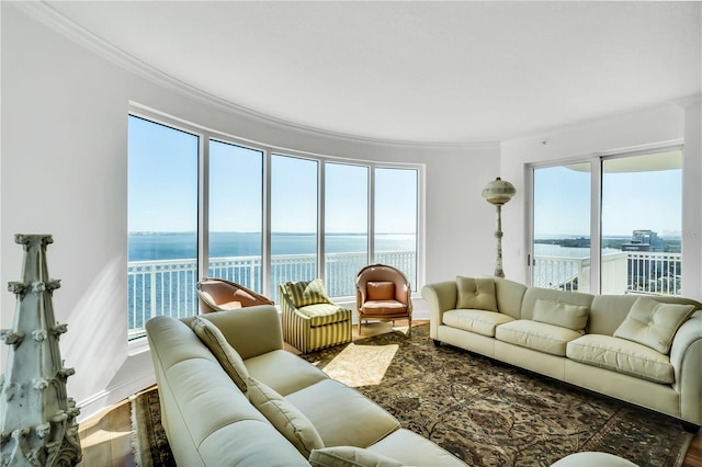 living room with ornamental molding, hardwood / wood-style floors, and a water view