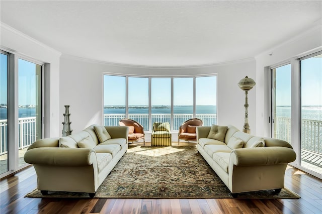 living room featuring a healthy amount of sunlight and a water view