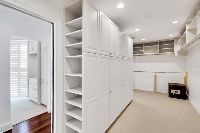 spacious closet with light wood-type flooring